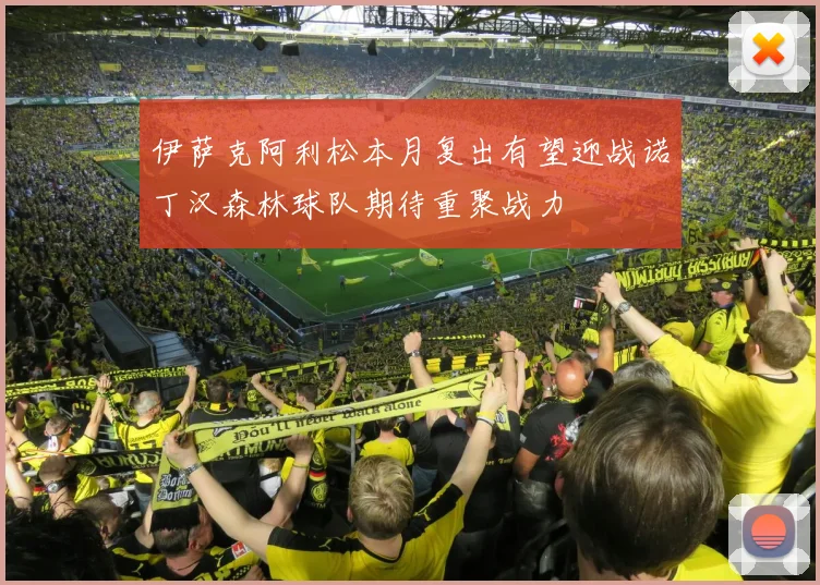伊萨克阿利松本月复出有望迎战诺丁汉森林球队期待重聚战力