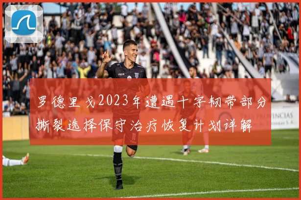 罗德里戈2023年遭遇十字韧带部分撕裂选择保守治疗恢复计划详解