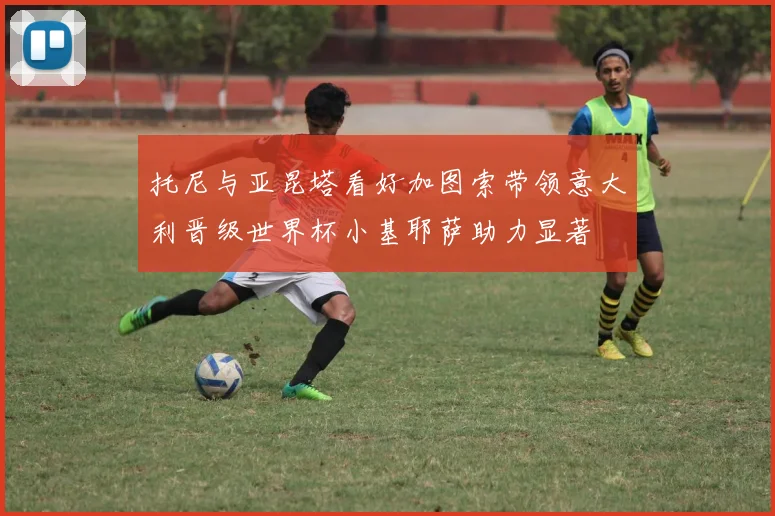 托尼与亚昆塔看好加图索带领意大利晋级世界杯小基耶萨助力显著