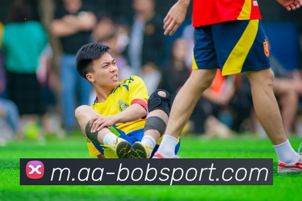 BOB足球平台生态图